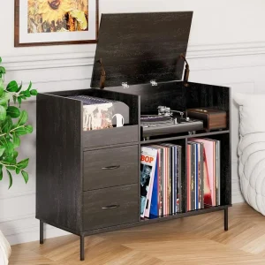 Vinyl record storage cabinet with turntable and vinyl records displayed inside