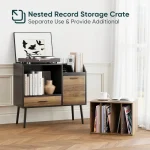Vinyl record storage cabinet with turntable and books in a stylish living room setting