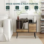 Vinyl record storage cabinet with space-saving design for records and books