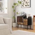 Vinyl record storage cabinet with wooden shelves and modern design in a cozy living room setting