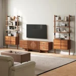 Modern living room featuring a stylish vinyl record storage cabinet with shelves and a TV.
